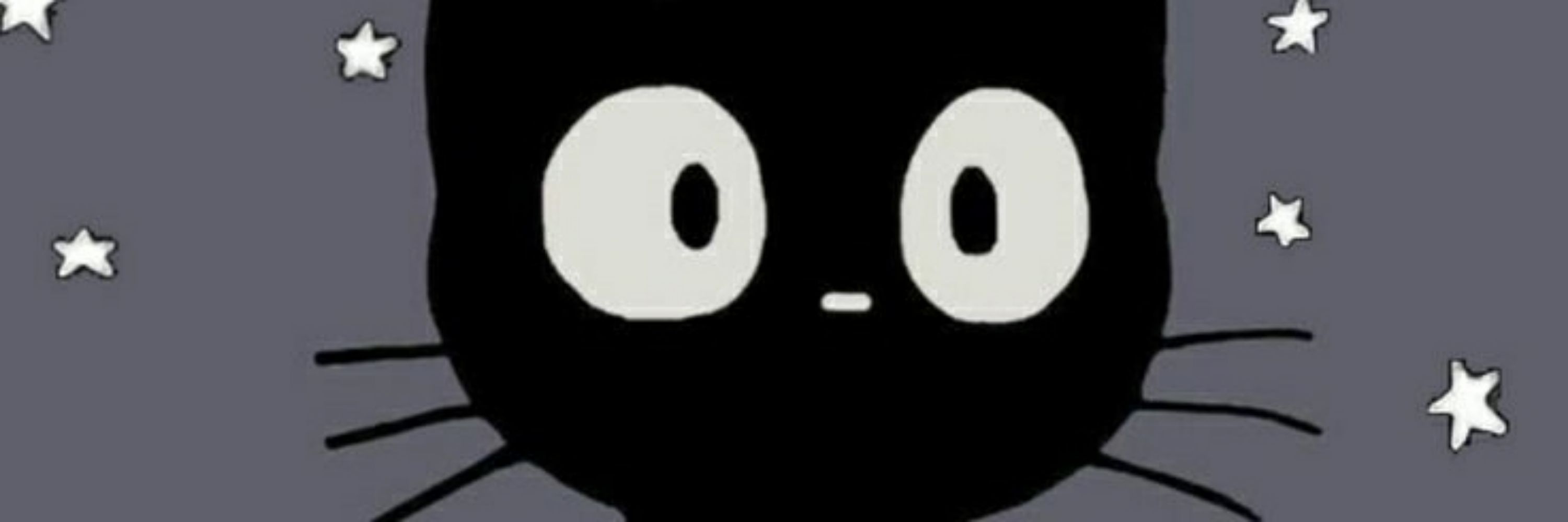 Night Cat ☪️🖤🐈