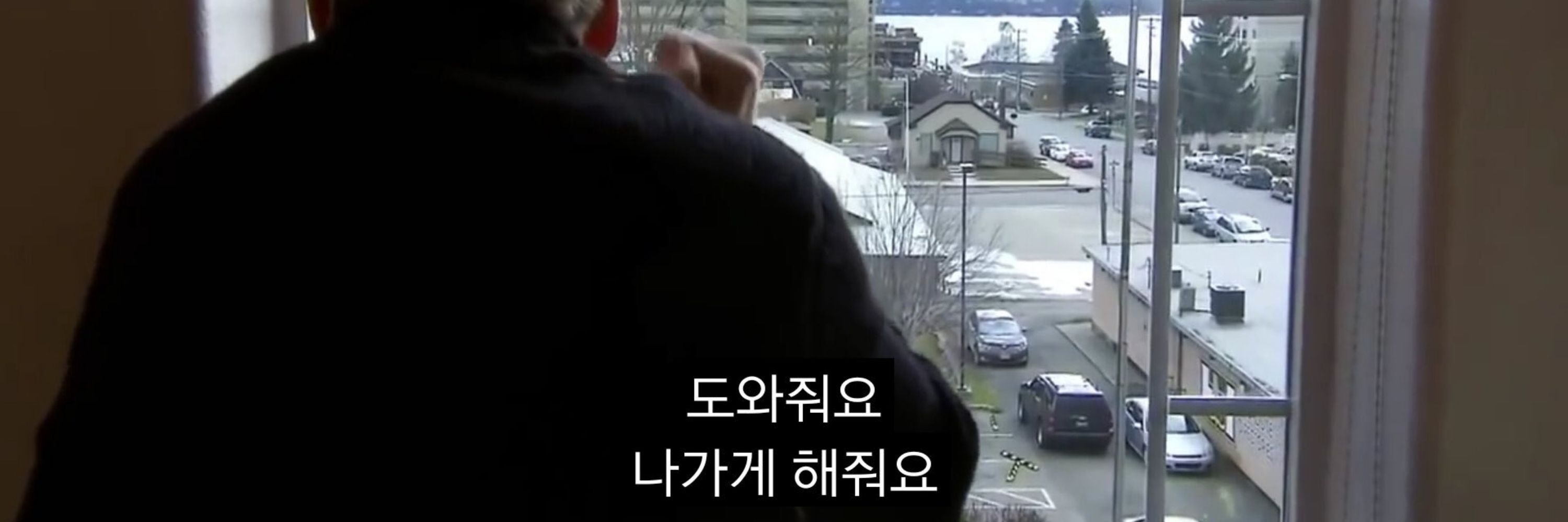 이배추