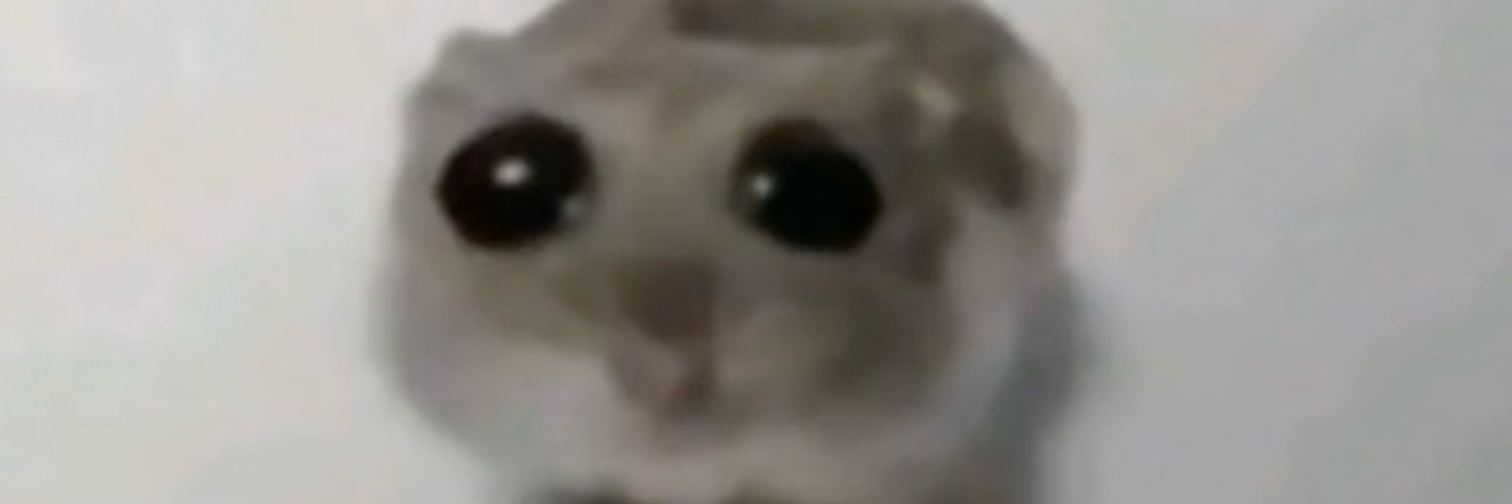 Arzuru