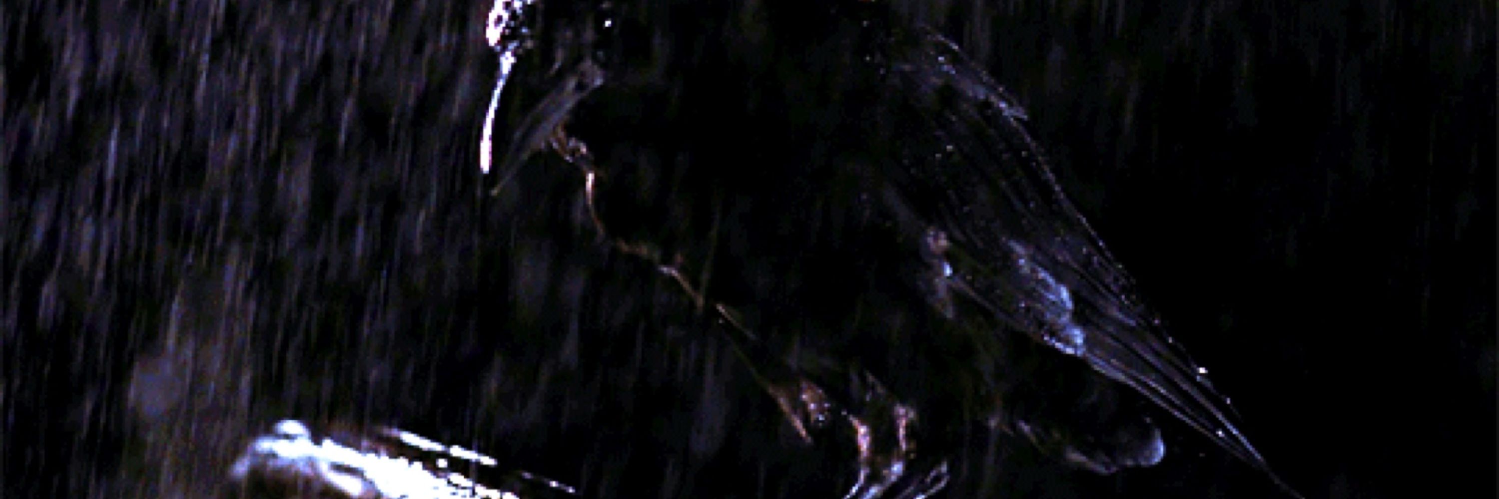 Eric Draven