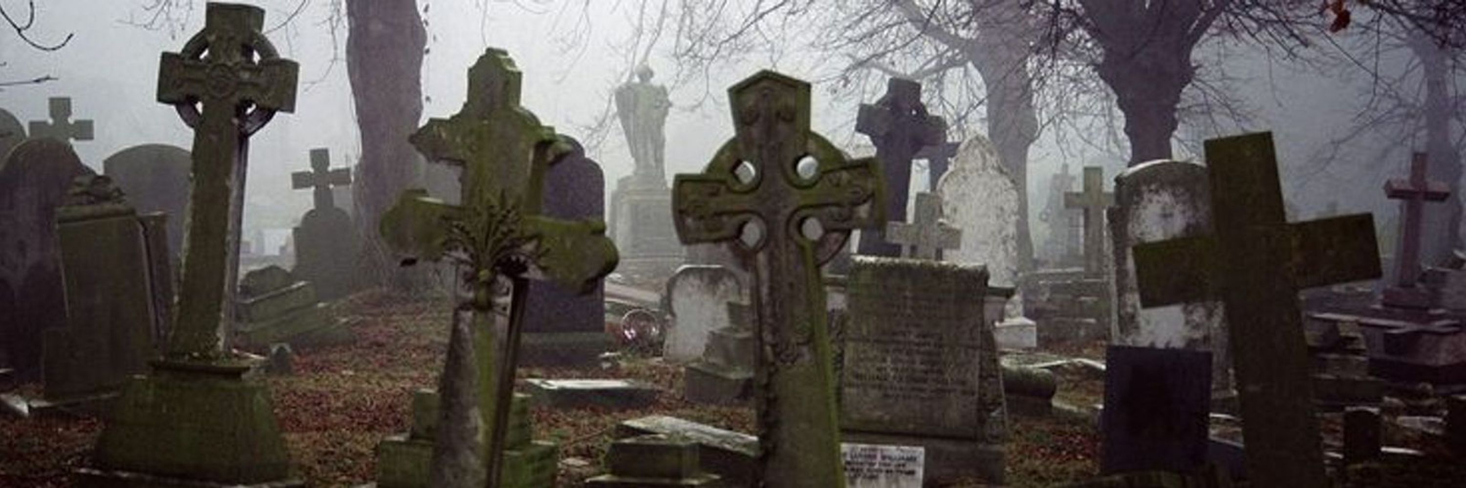 Coffin Boffin