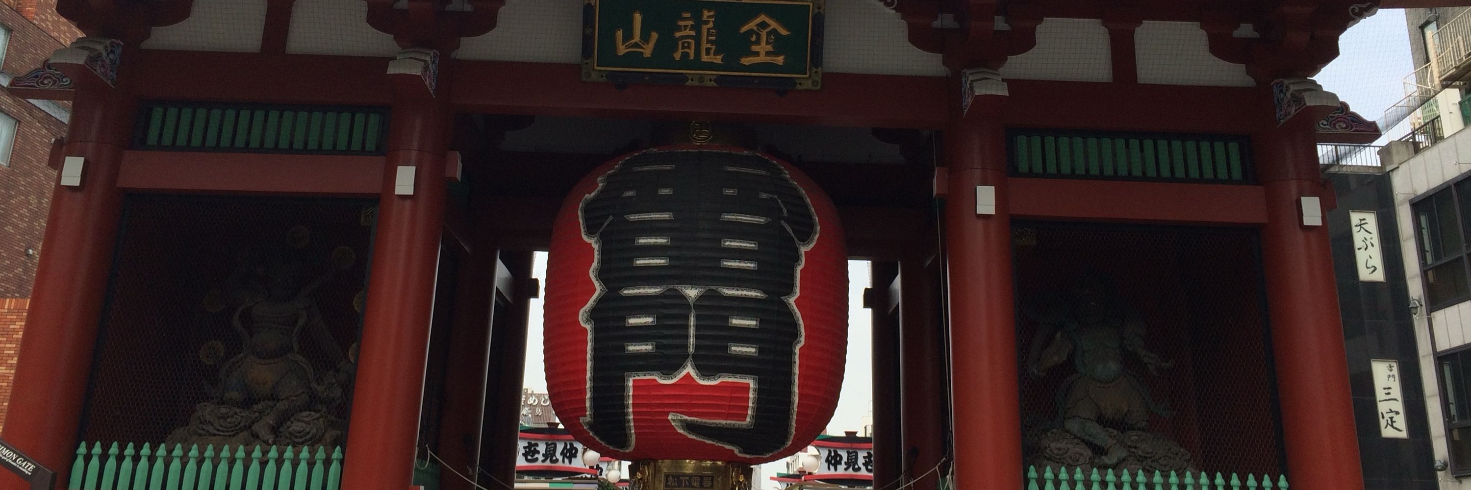 苦蓬
