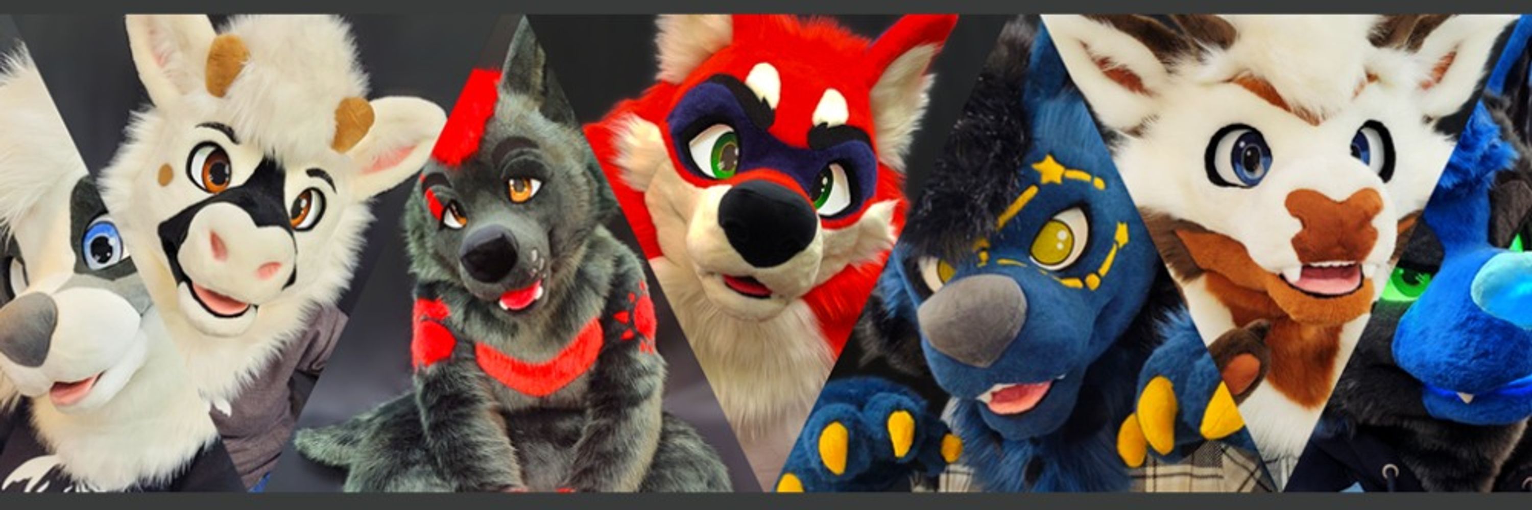 Selkie Suits