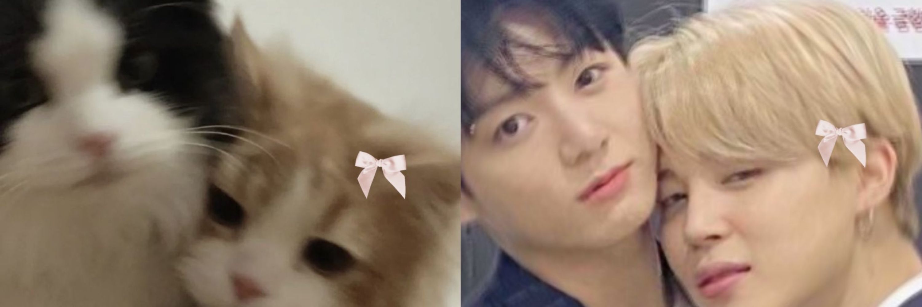 Laureen lê au jikook🐾