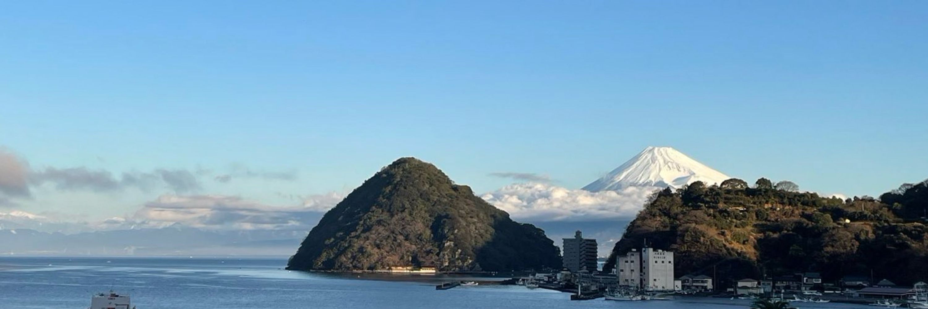 ヒラシン
