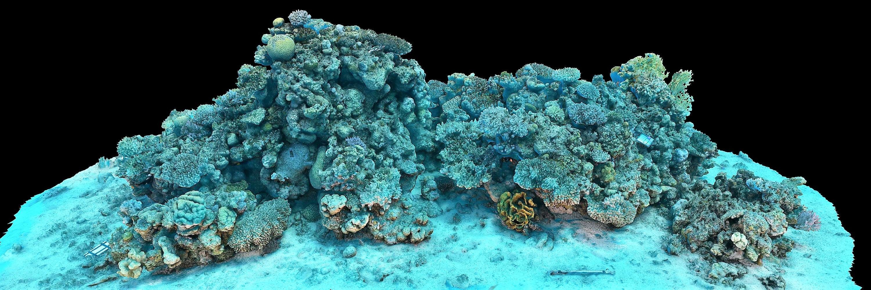ReefScan