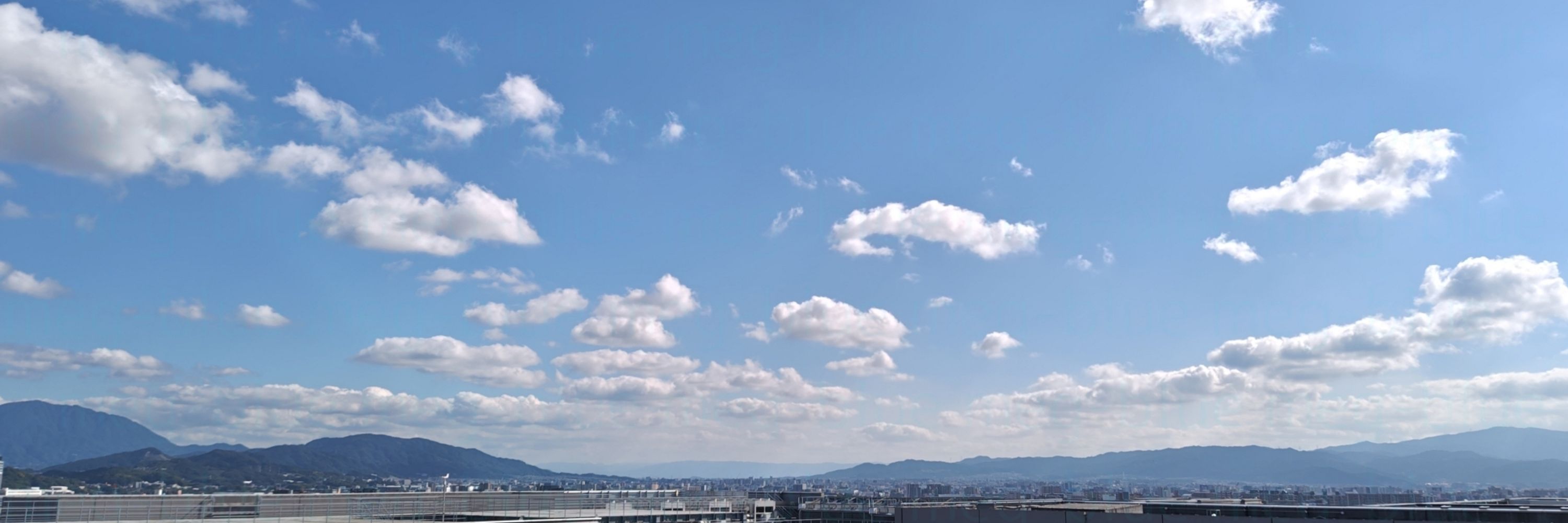 青