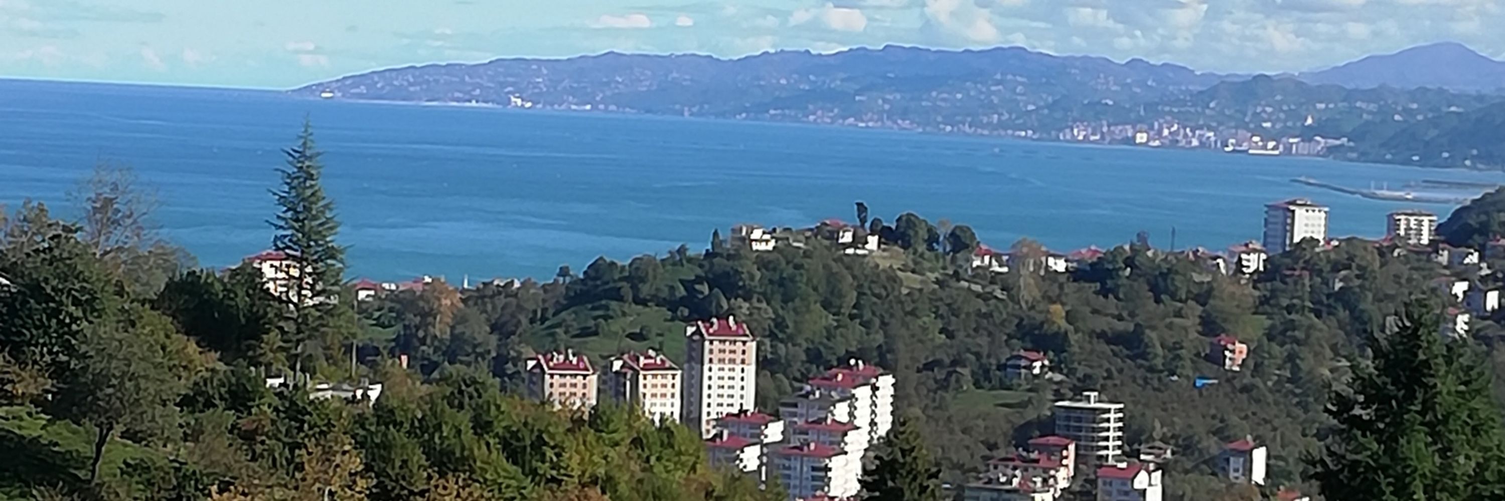Semra Şerali Hamzaoğlu
