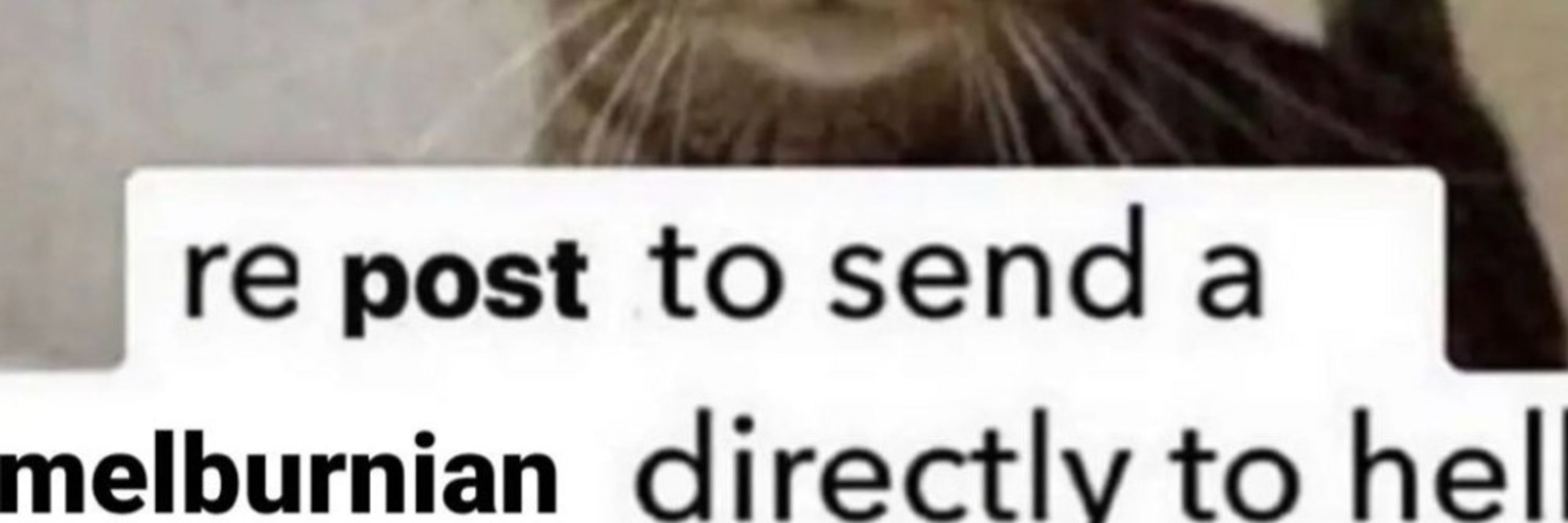 s 🇵🇸