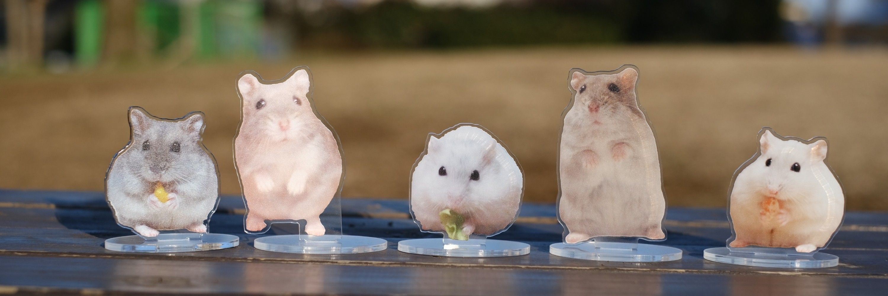 ゆい🐹🐹🐹🐹🐹