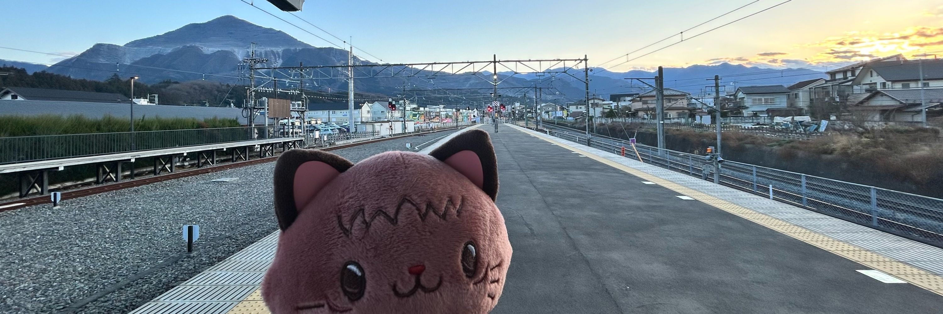 の