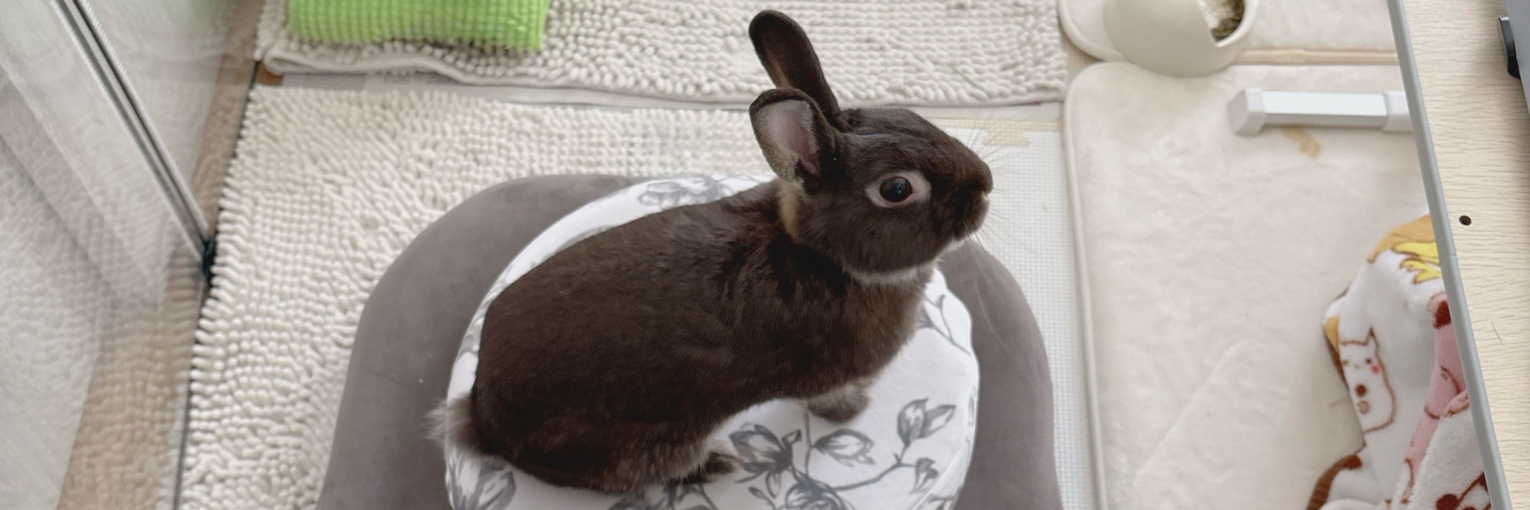 ぼ