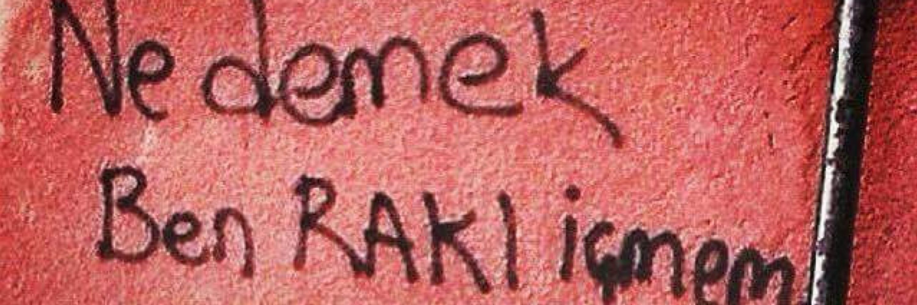 Mine Bircan
