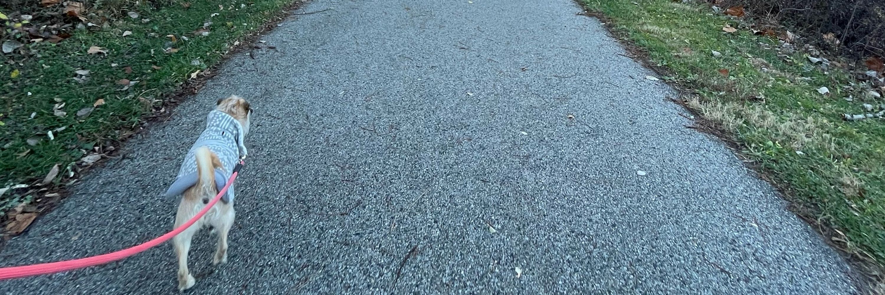 AM