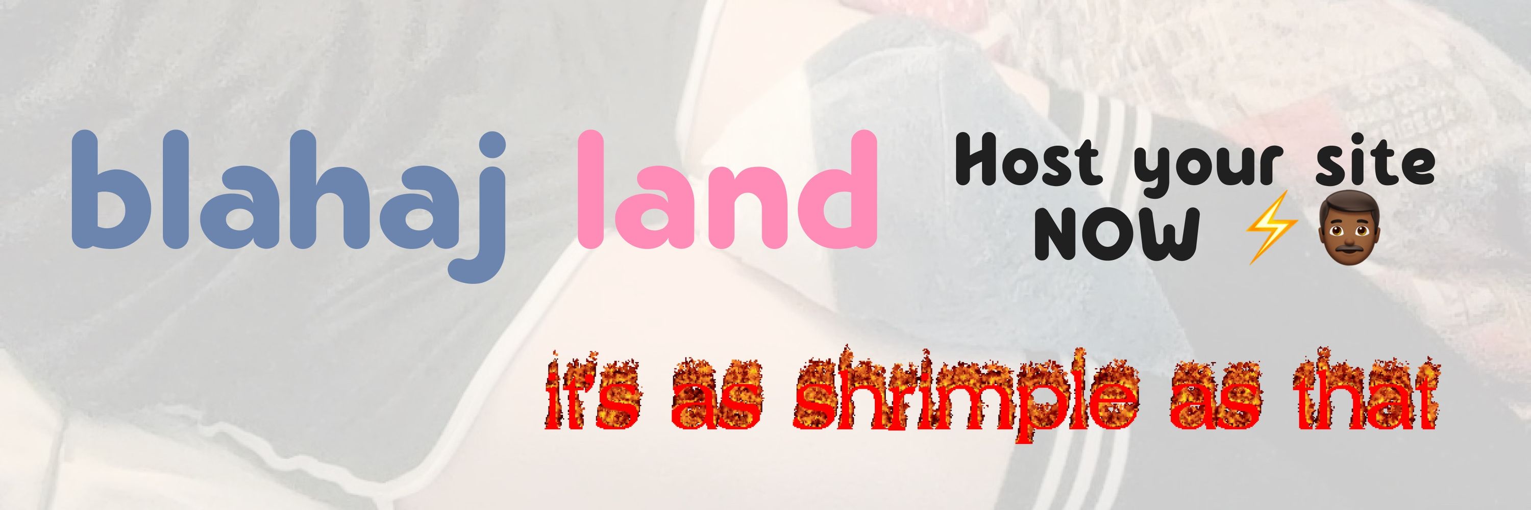 Blahaj Land