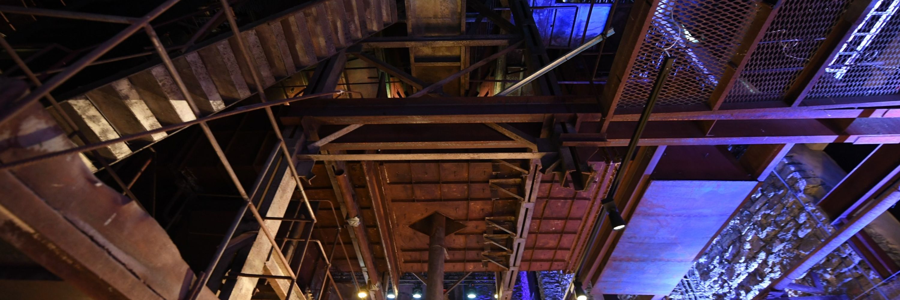 The Guild