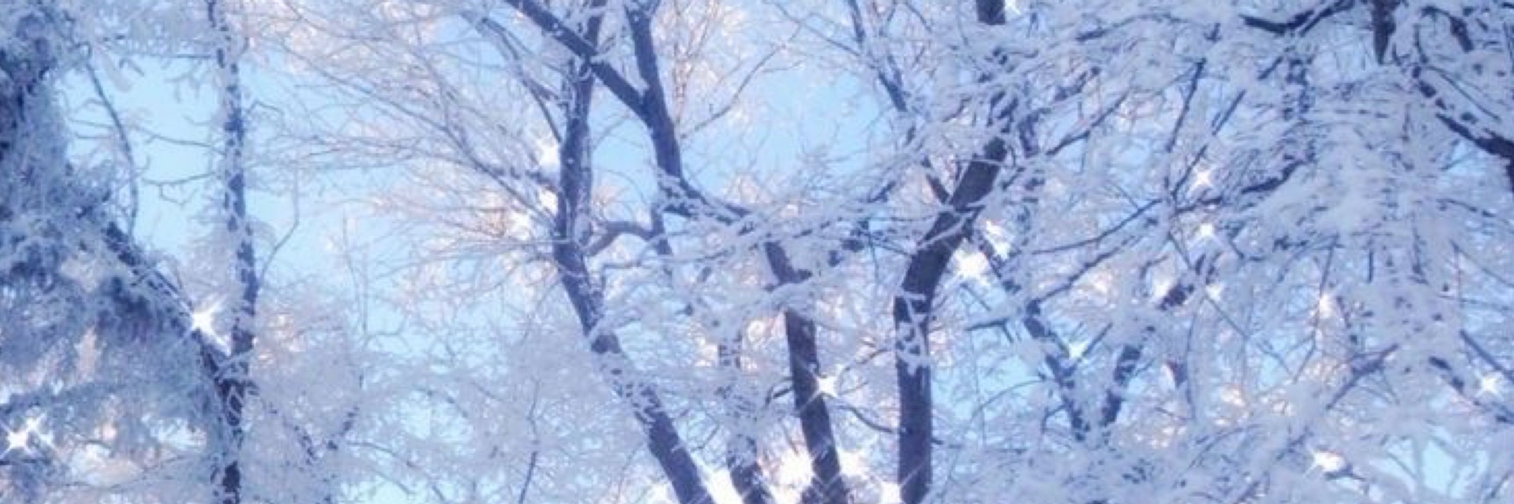 ❄️🩵Choux.fbx🩵❄️