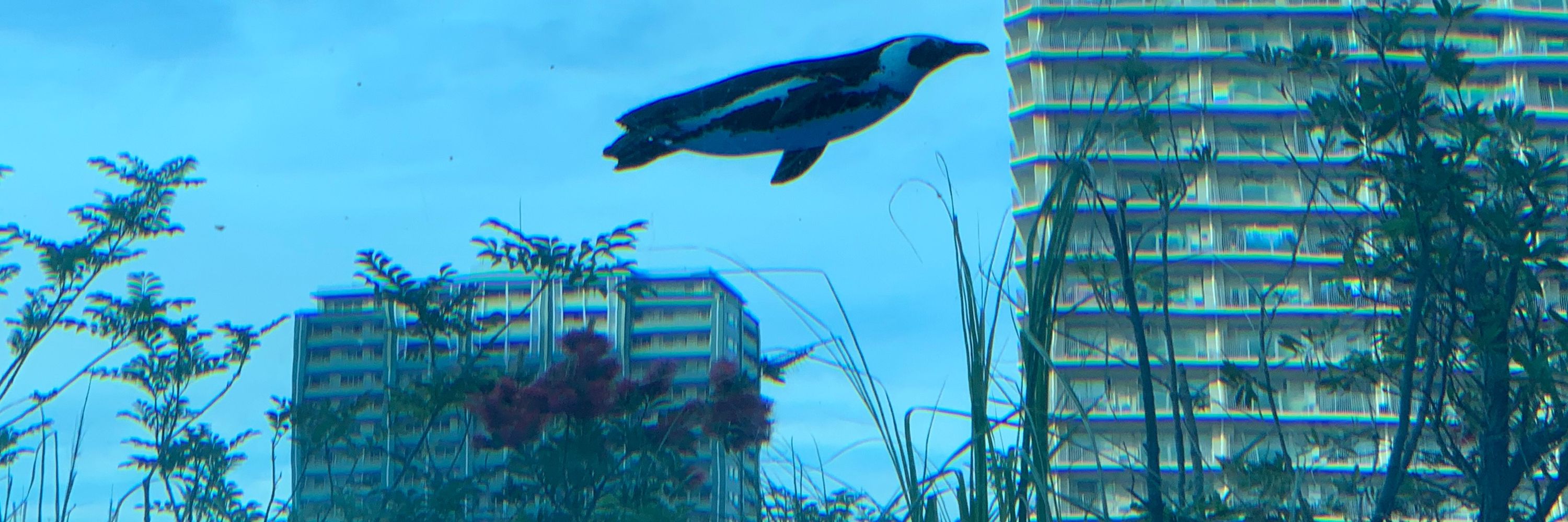 くろと