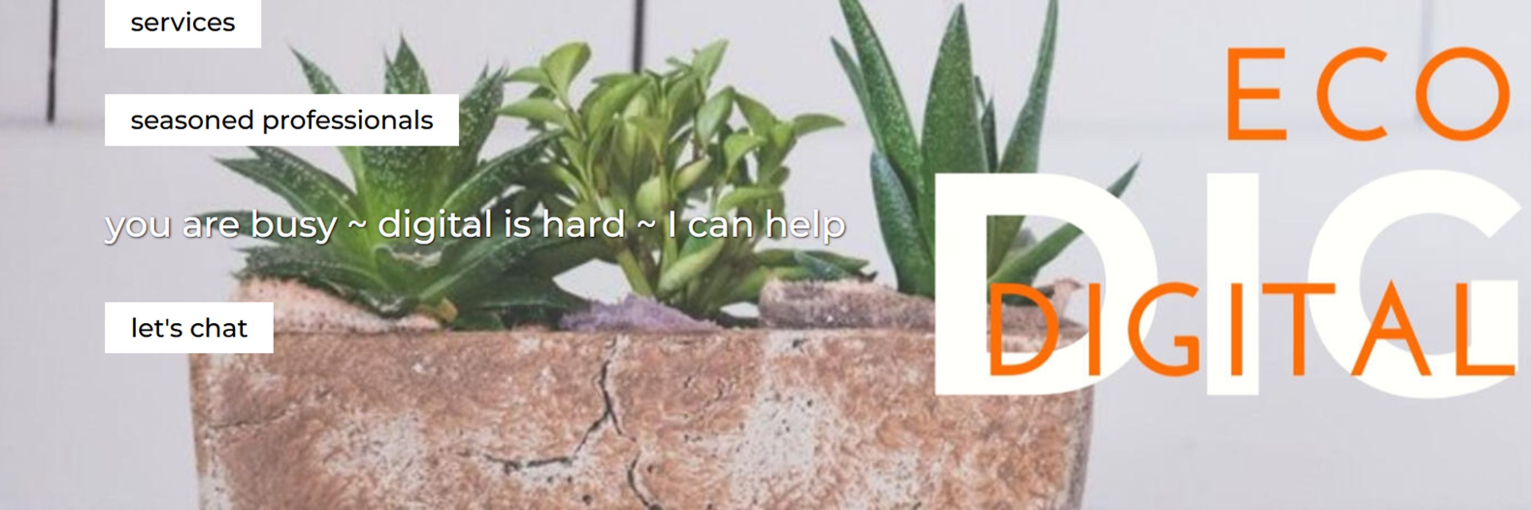EcoDigital - Sustainable Online Presence