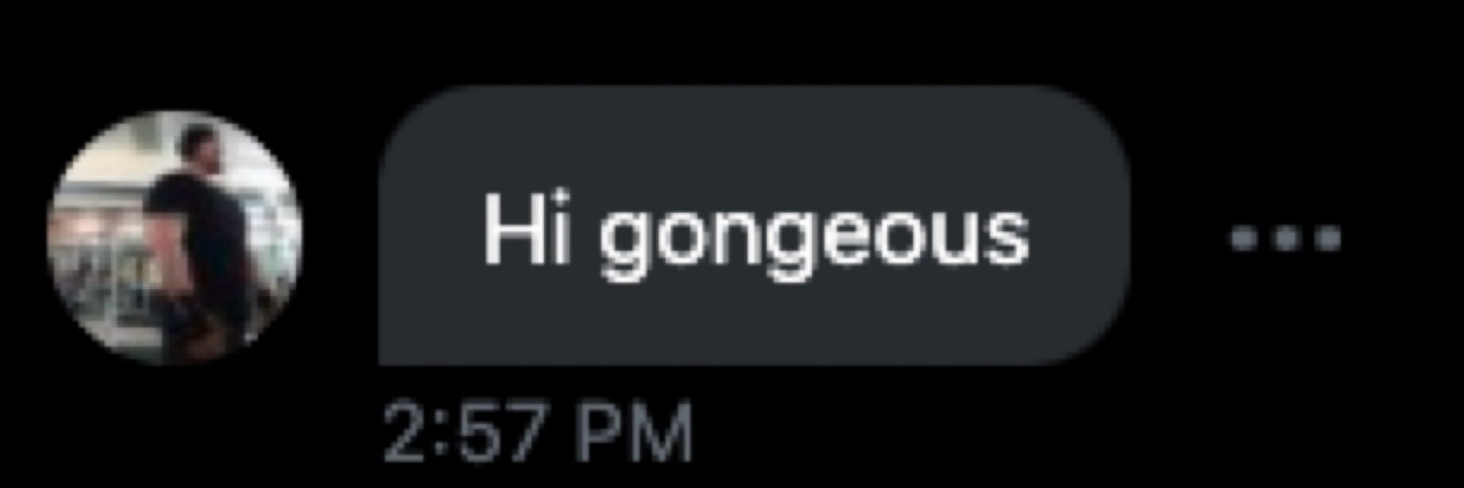 dingo