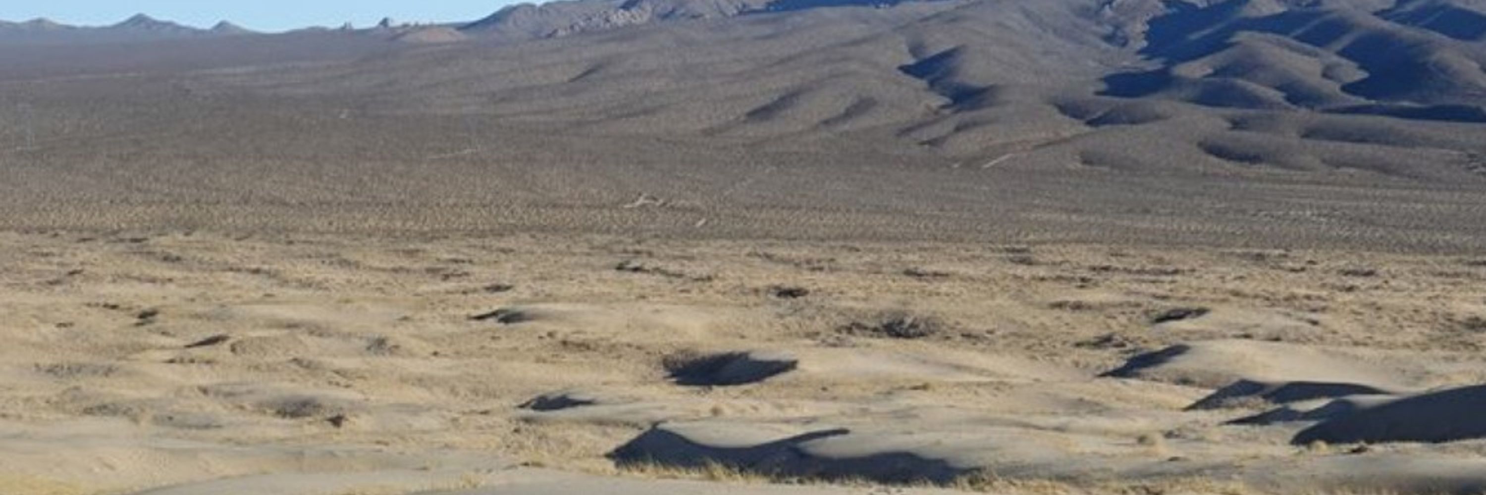 Naadir