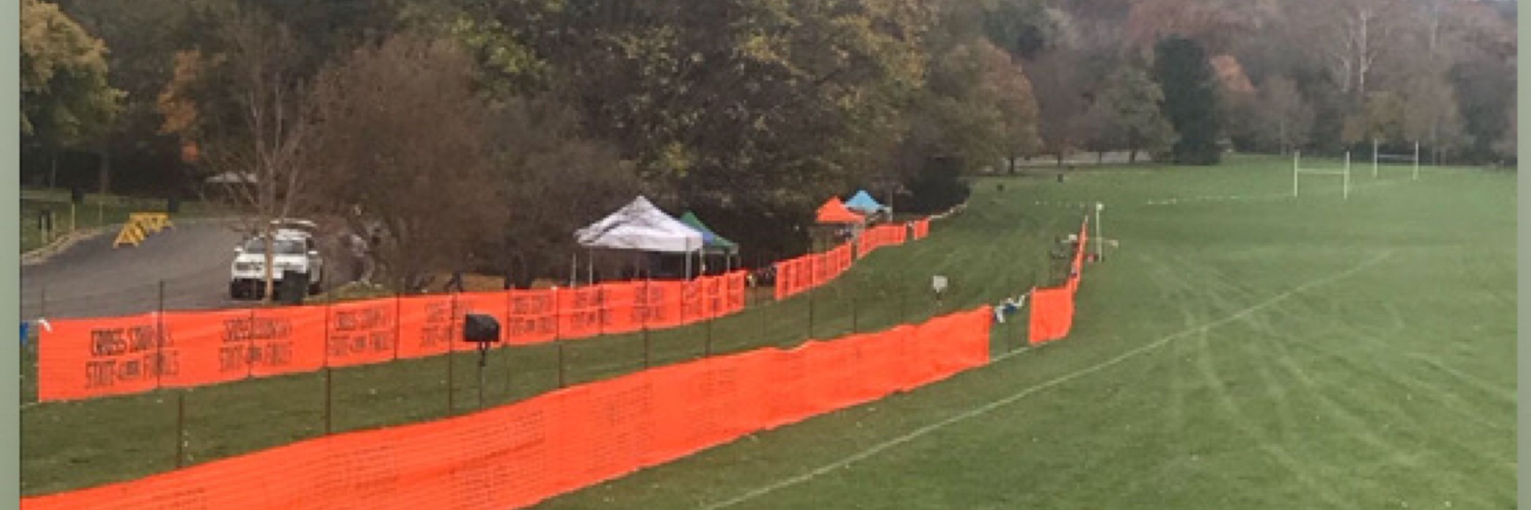 Illinois HS XC/TF