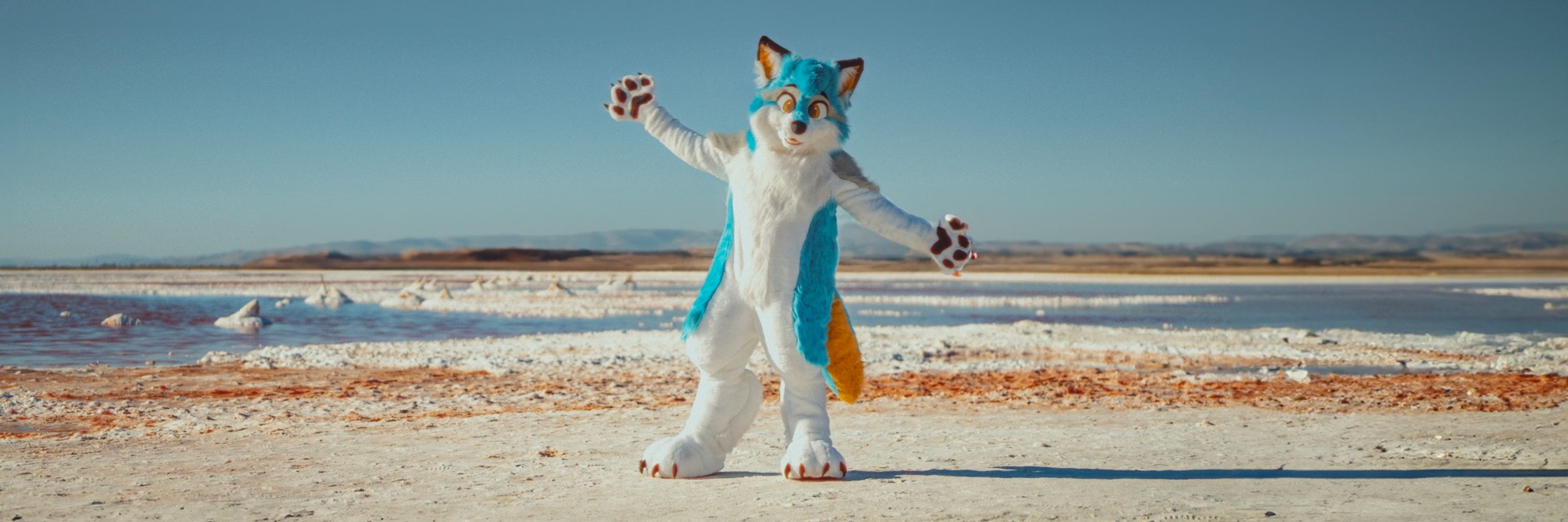Zeni 🔜 MFF, FC, ThaiTails