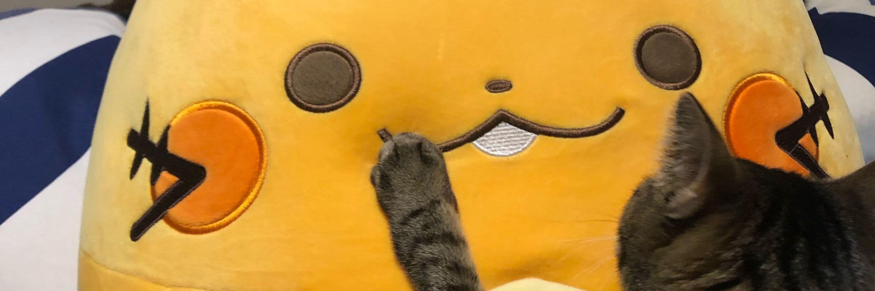 ぽん‪‪
