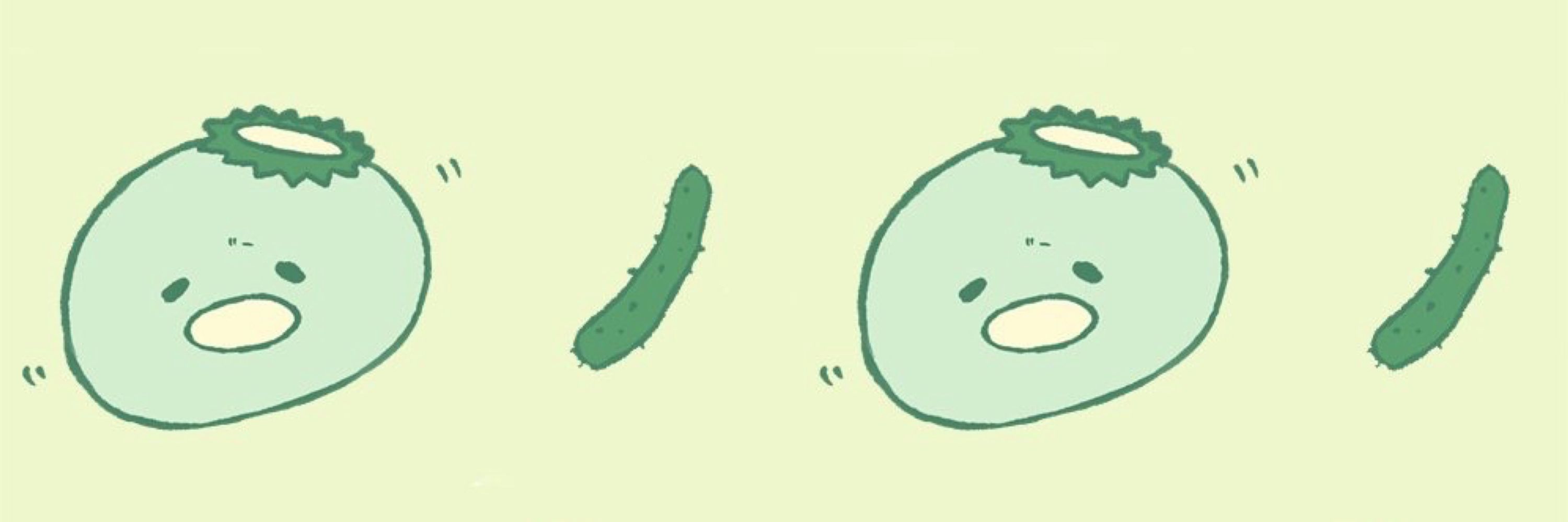 ちぷお。🥒