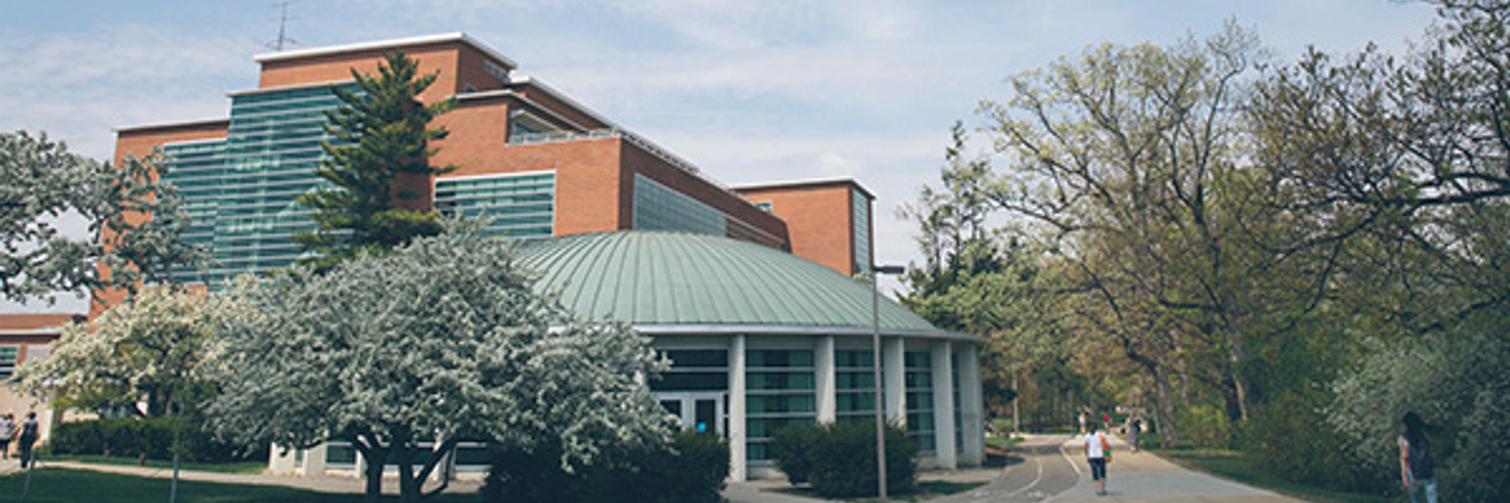 Center for Higher and Adult Education at Michigan State