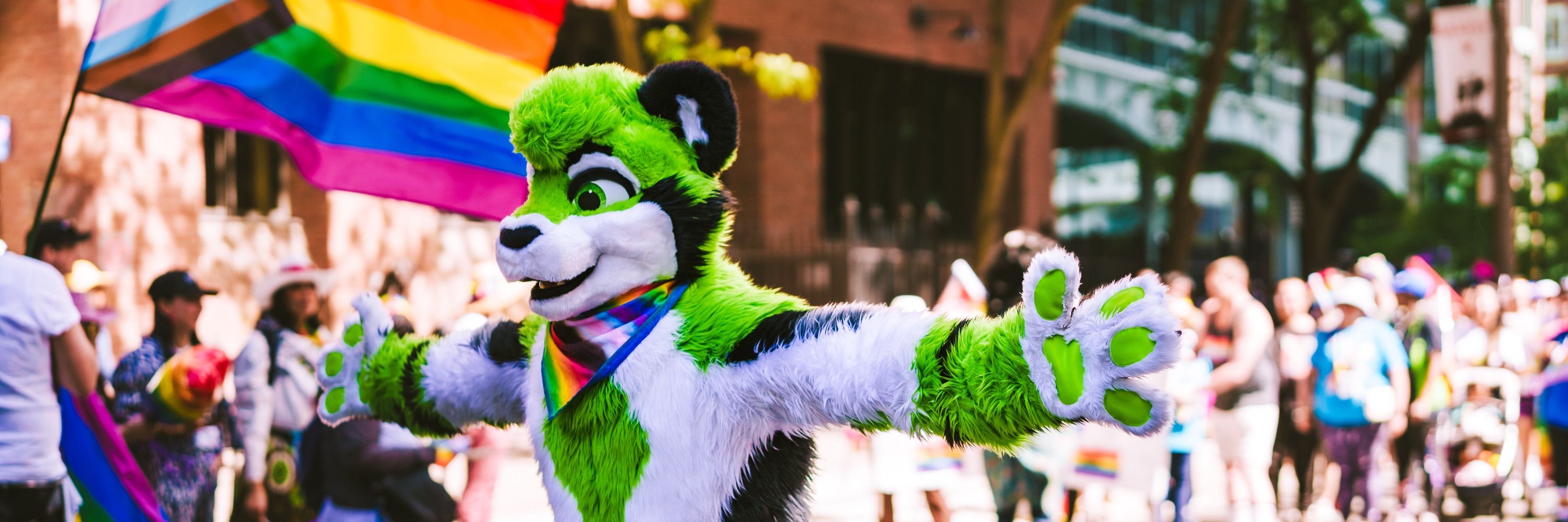 🐶 Soka/Deku -> FWA 🦁
