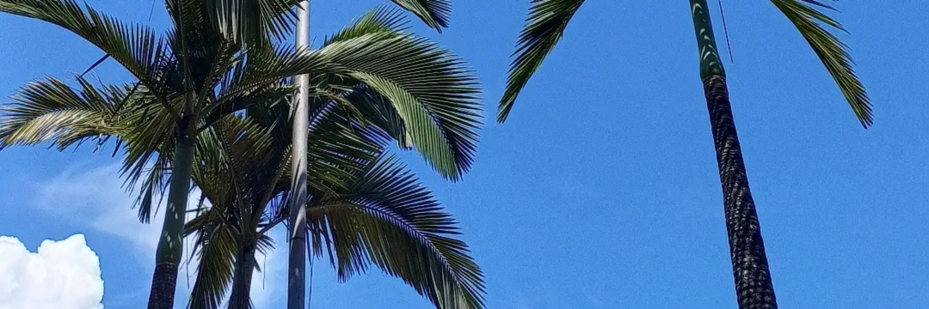 Avaliação 