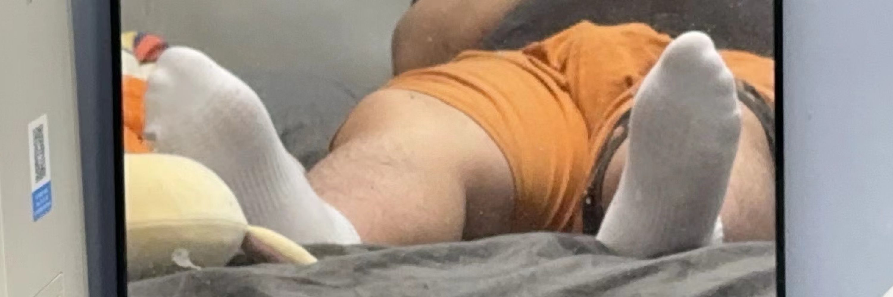 硕