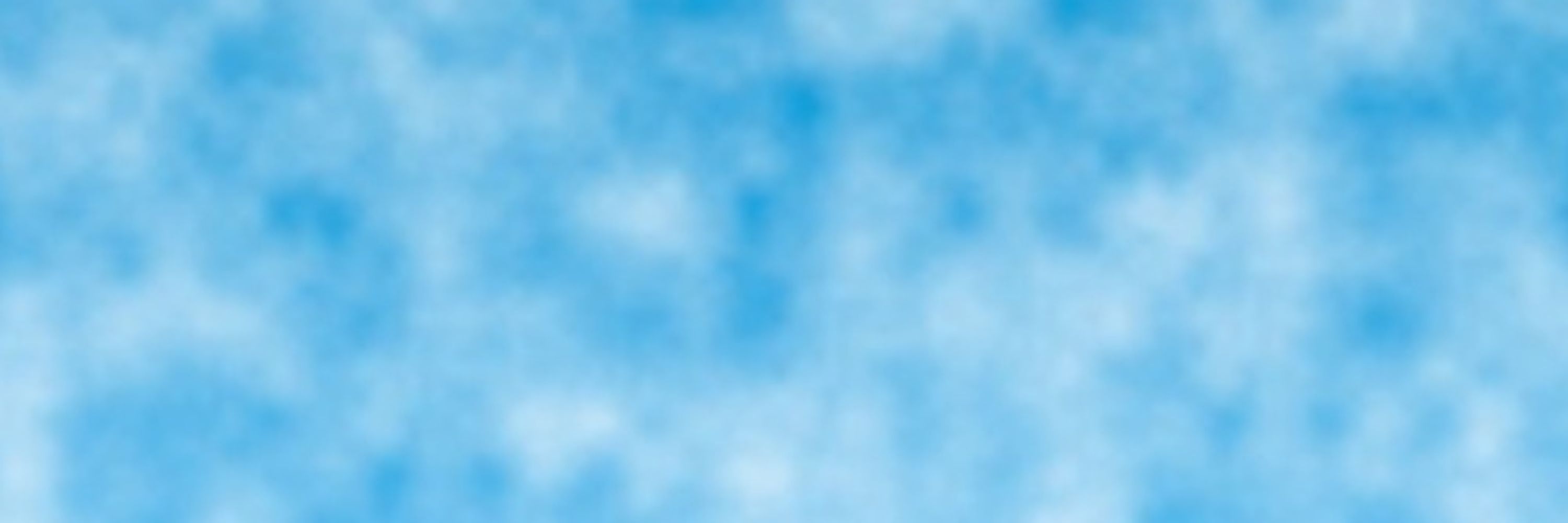 Blue Sky Bot