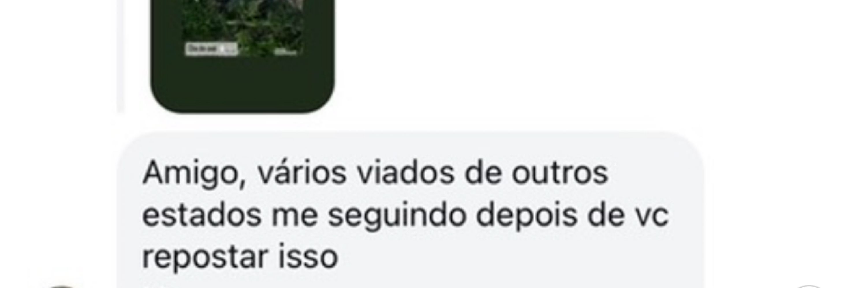 léo papi
