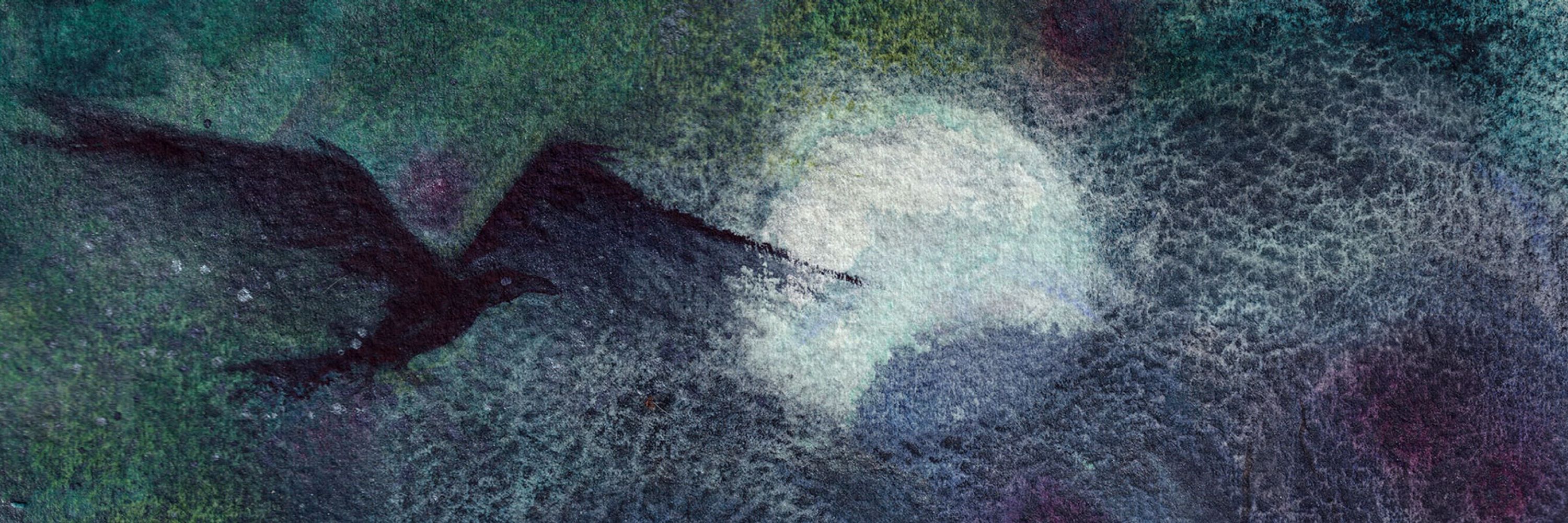 Amy Crook