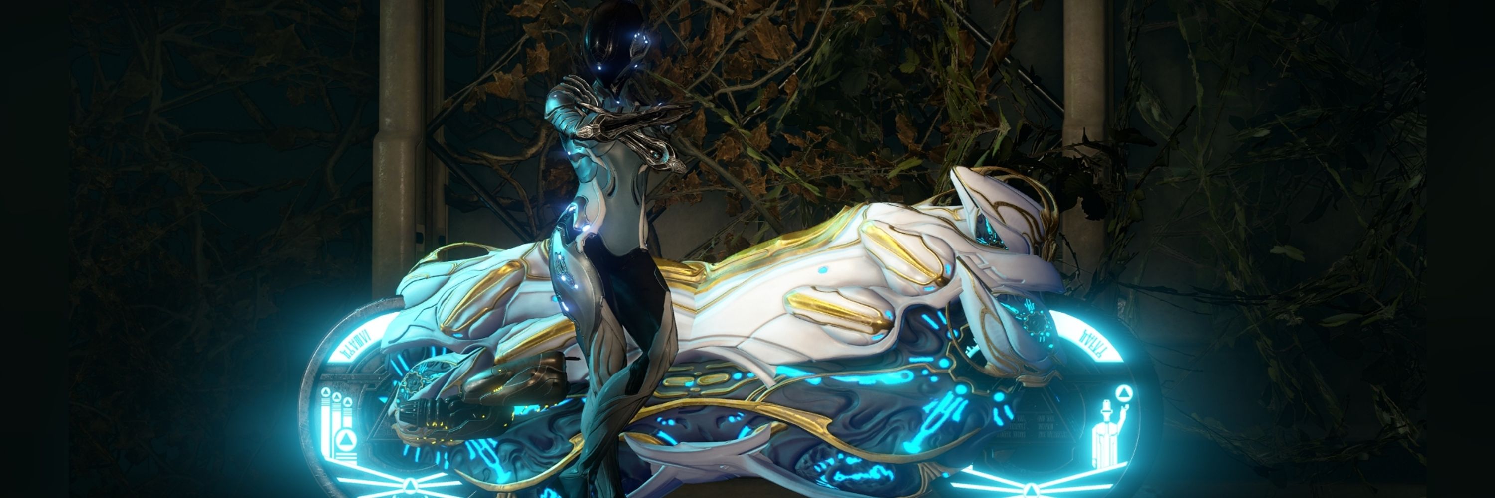 ⚜️ 𝙴𝚌𝚑𝚘 ⚜️