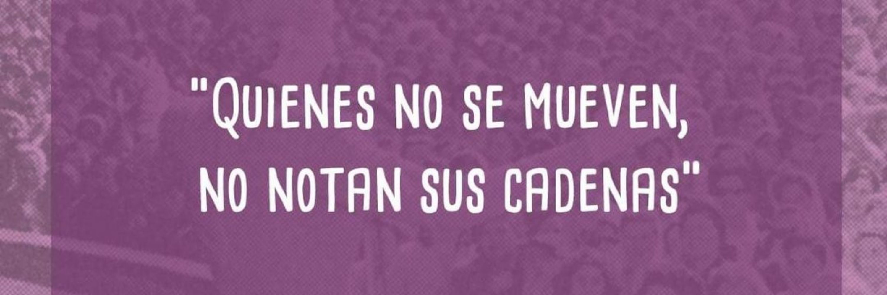 🐼 Laura Dice 🔻🇵🇸🕊️