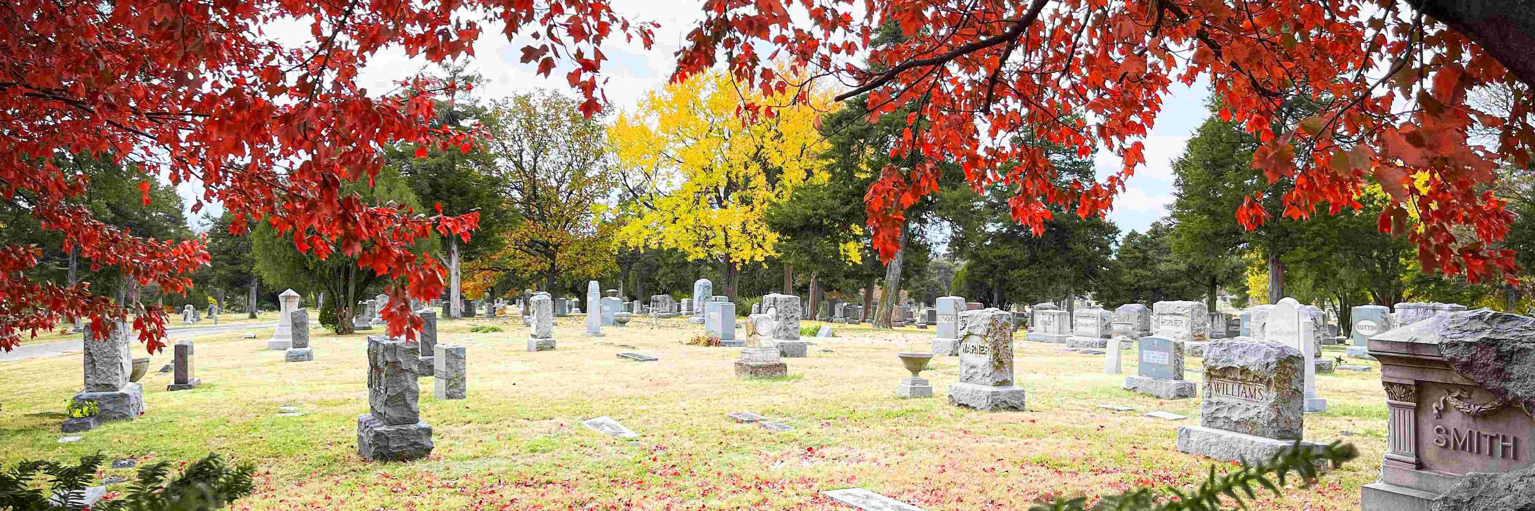 Autumn