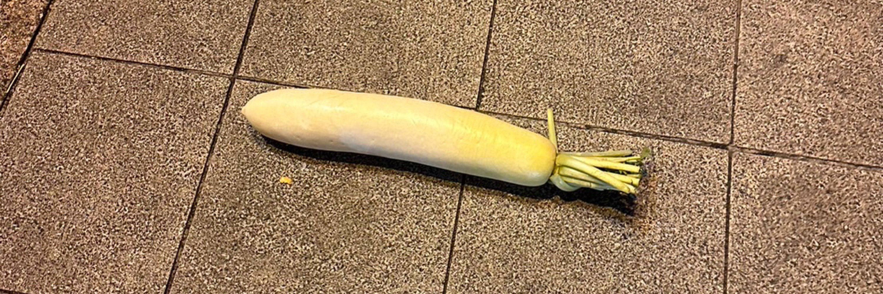 御塩🐉純一郎