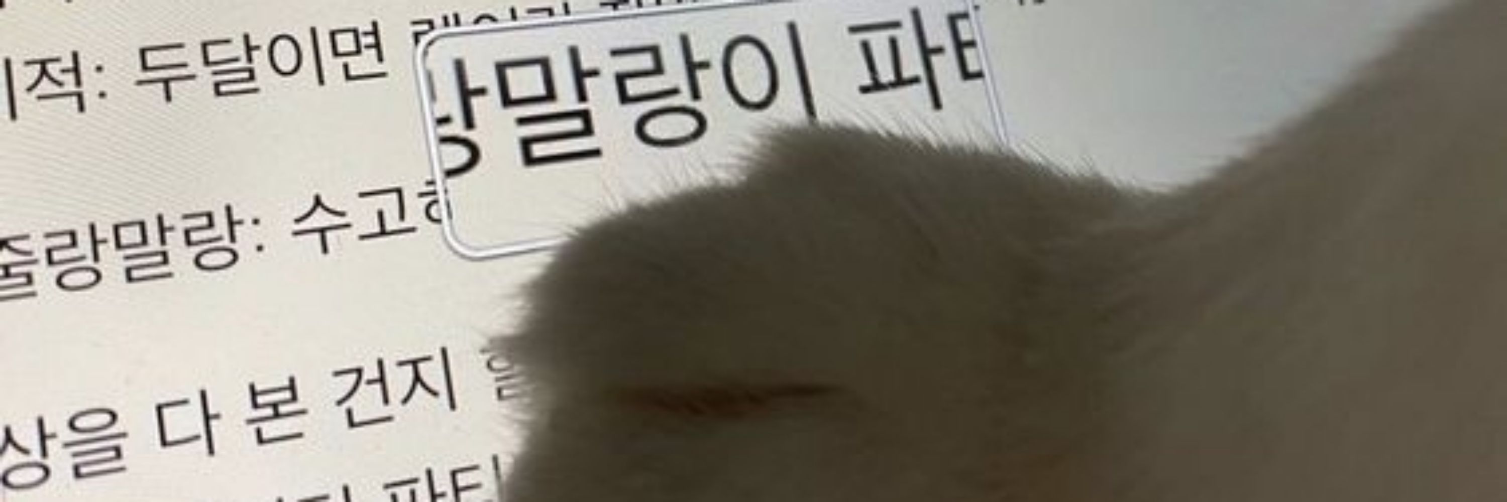 랜겜