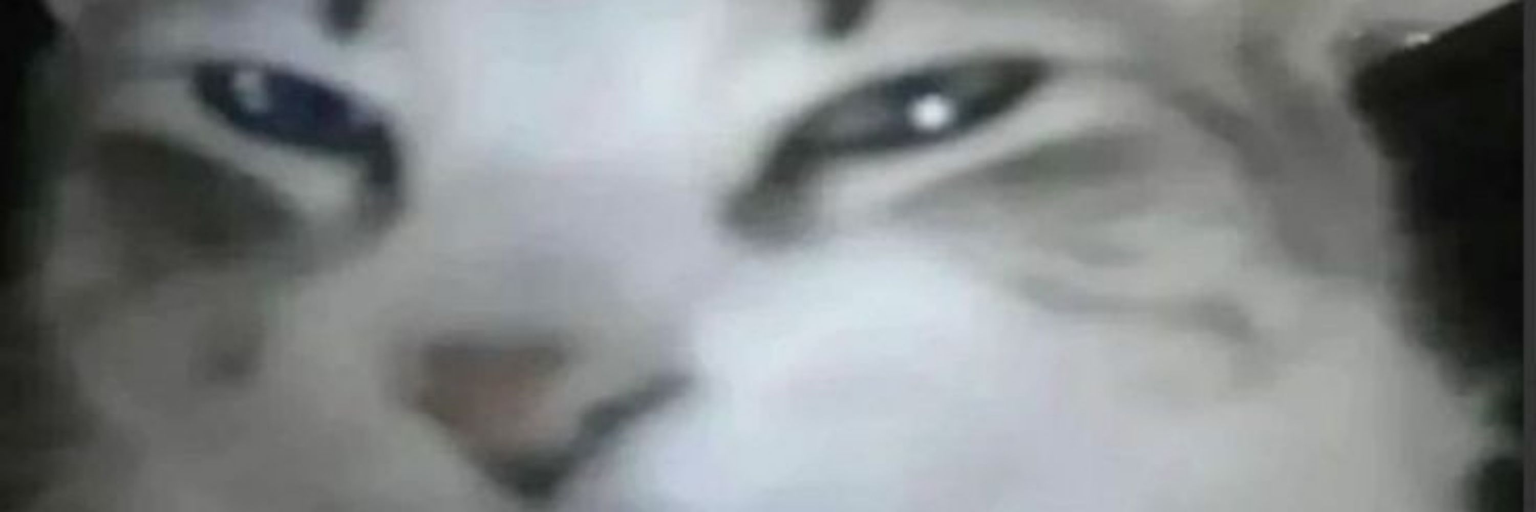 Veec