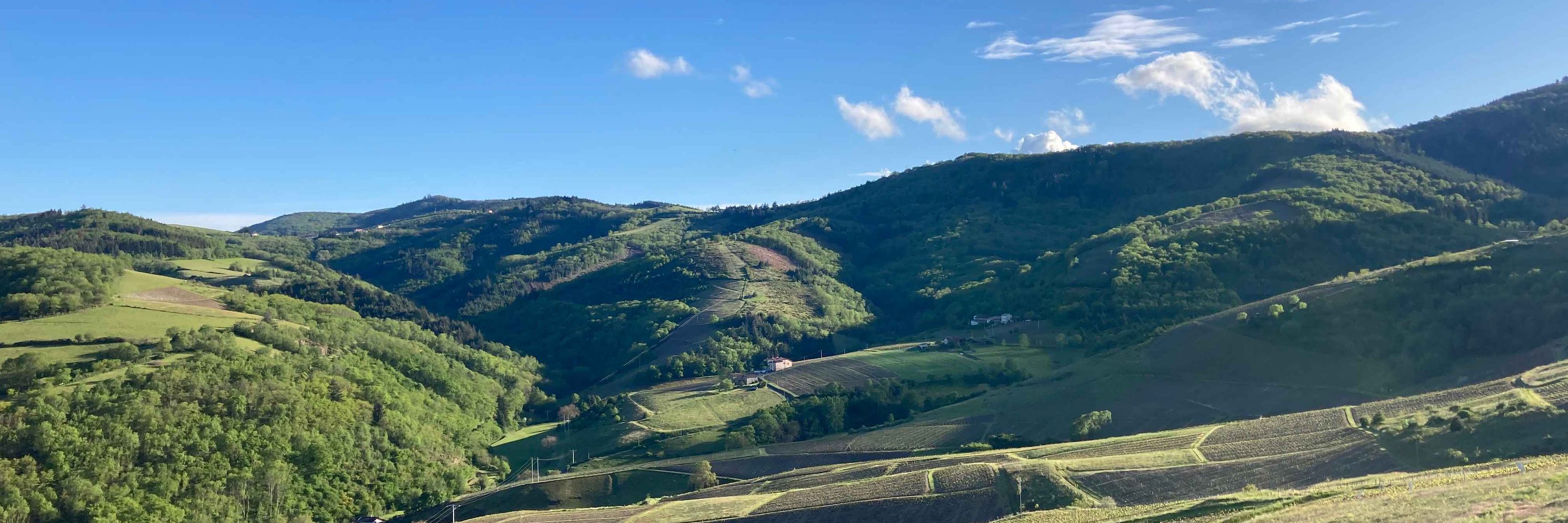 svaxelaire