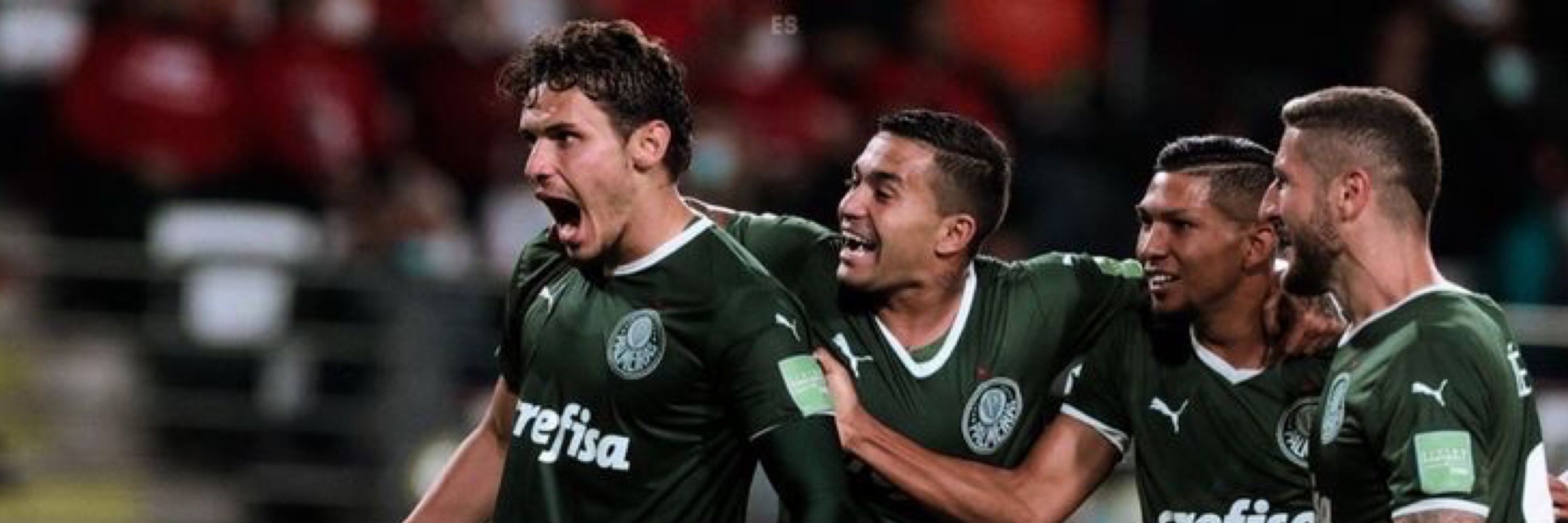 salusti 💚 ²⁰²² ᵛᵉʳˢᶦᵒⁿ
