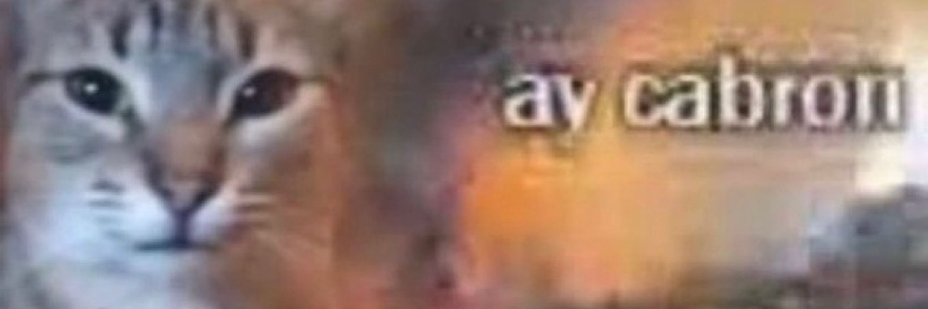 Max 🧵🔞
