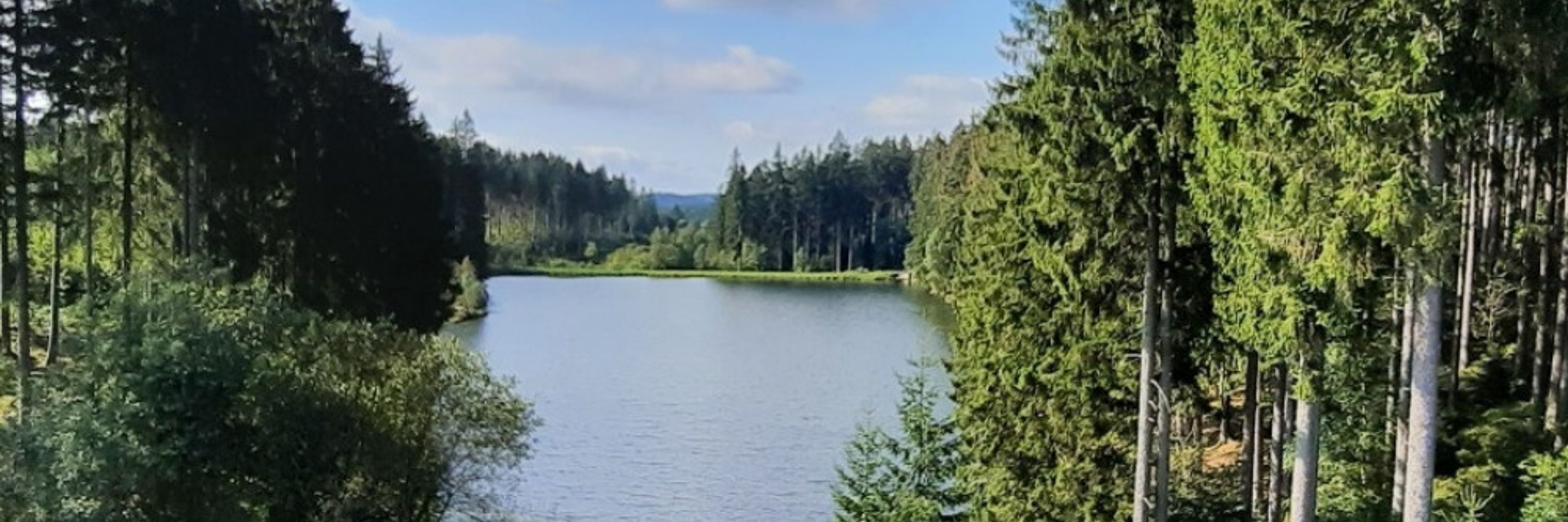 Nea