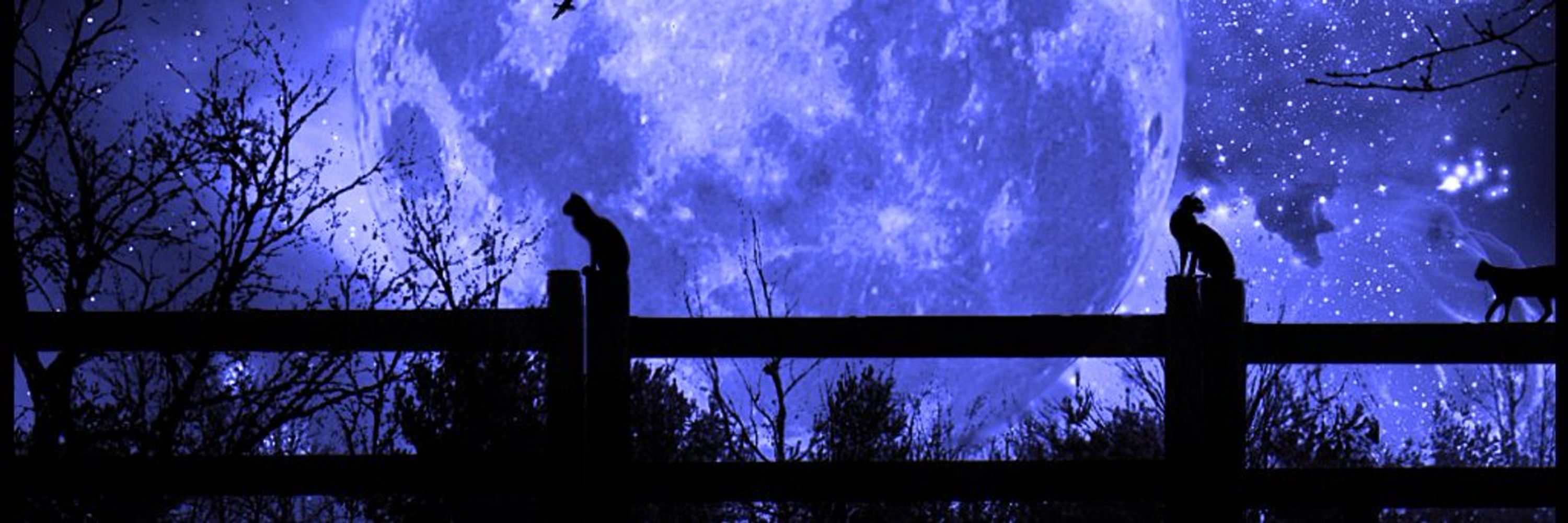 *Do The Right Thing Even When You Don´t Want To*