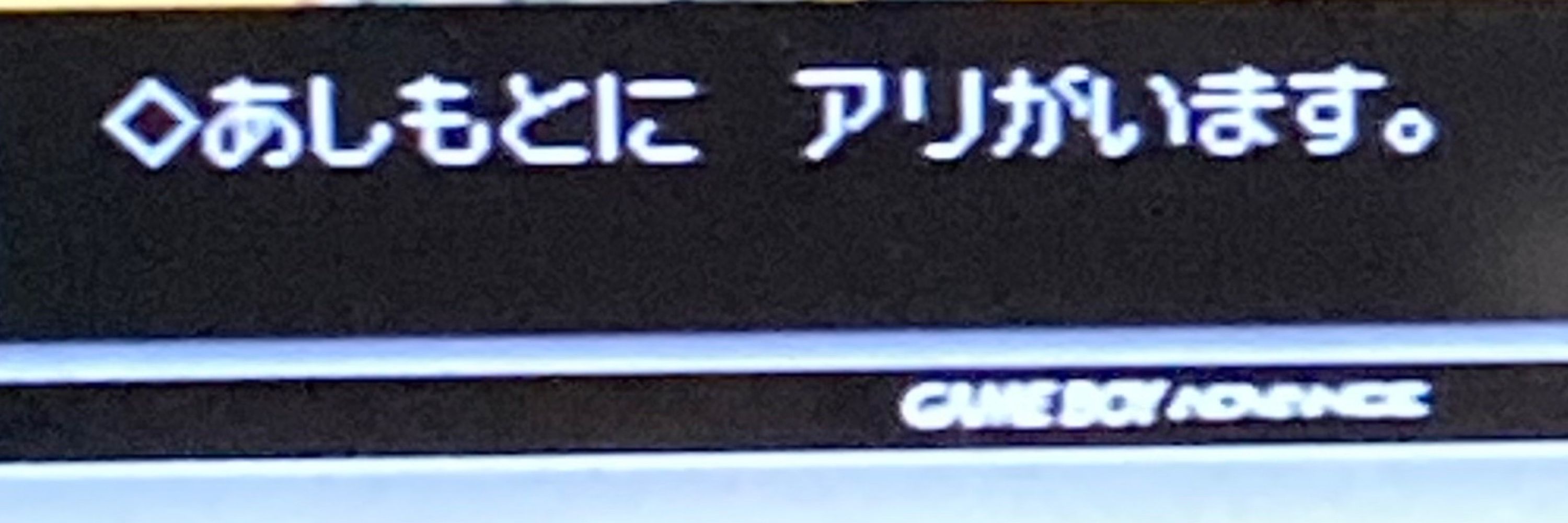 ヤヲ