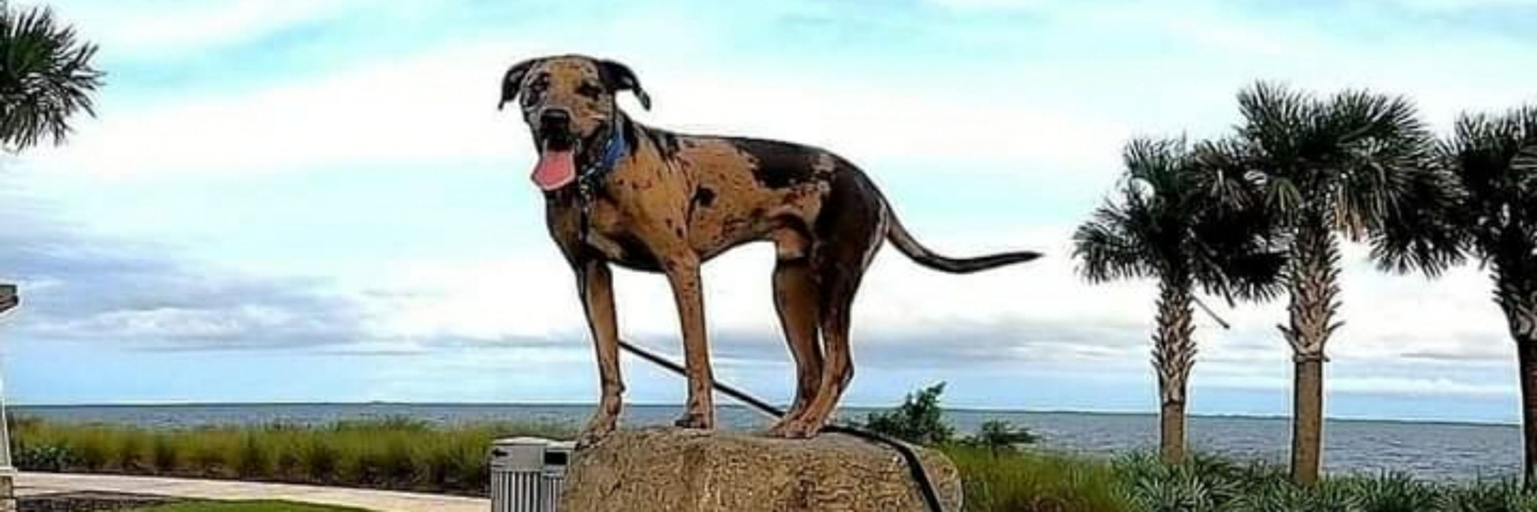 Bubba's Dad