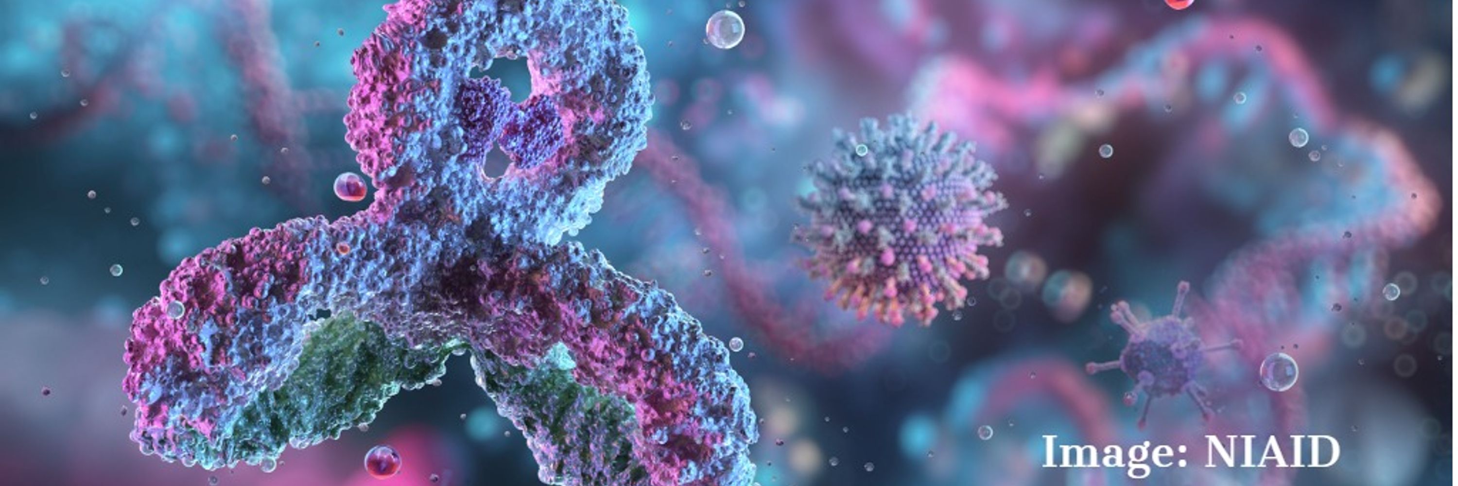 Ulster Immunology Group